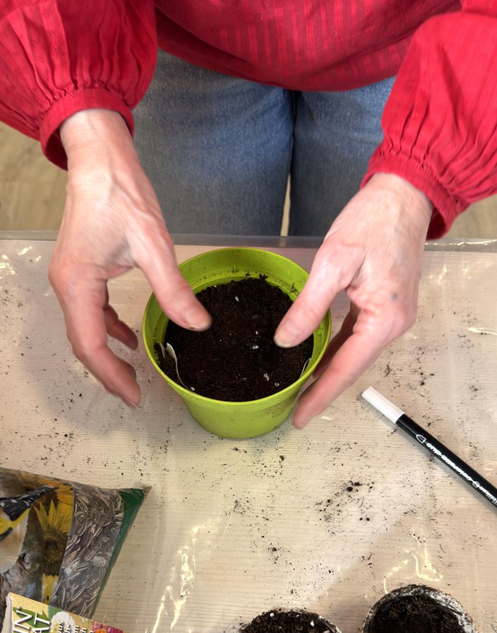 eco club nsv seeds hands hk