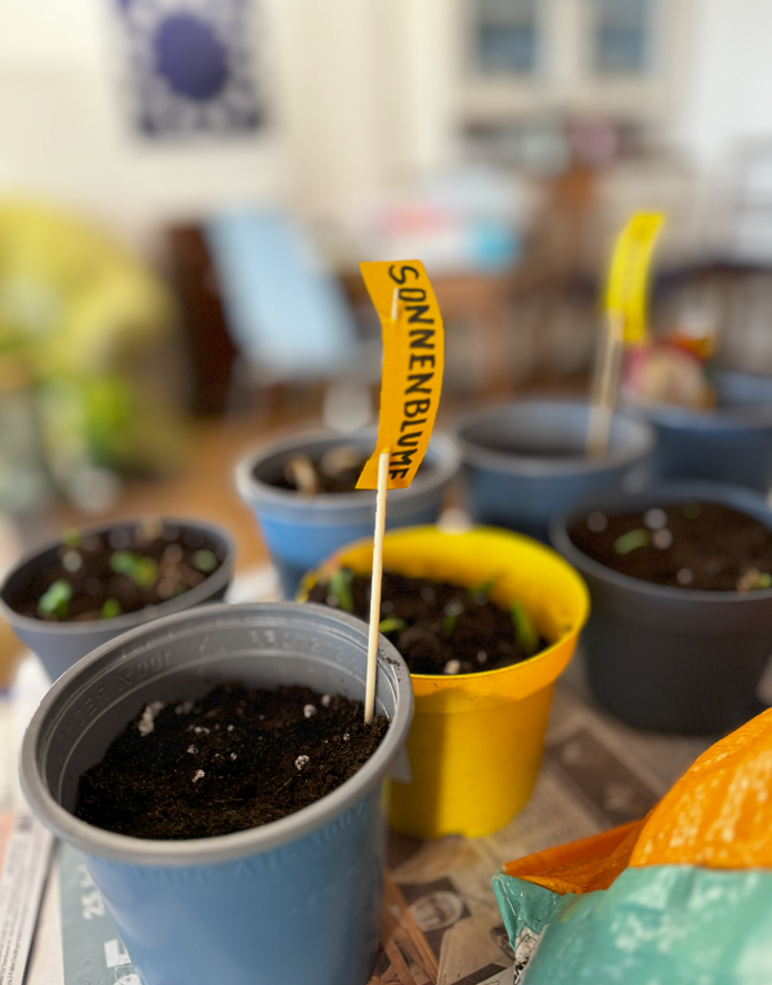 plants eco club projects denkmalladen - Kopie